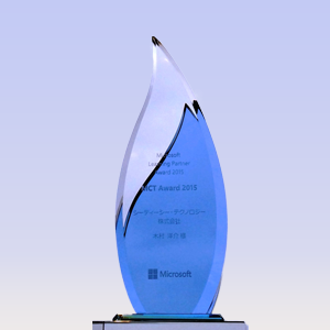 MCT AWARD 2015