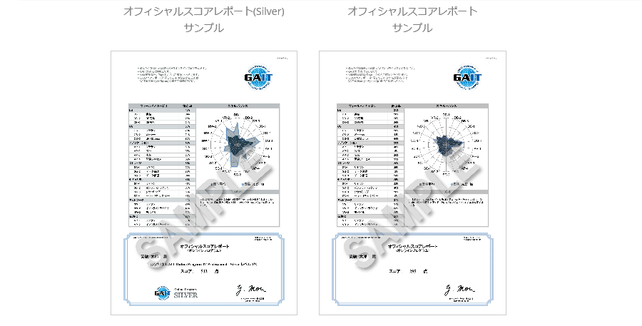 レポートサンプル