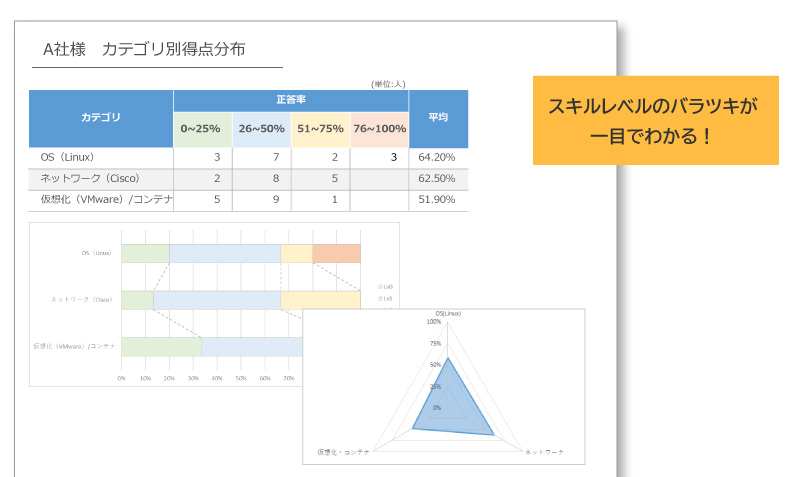 ITスキル診断サービス　サマリーレポート