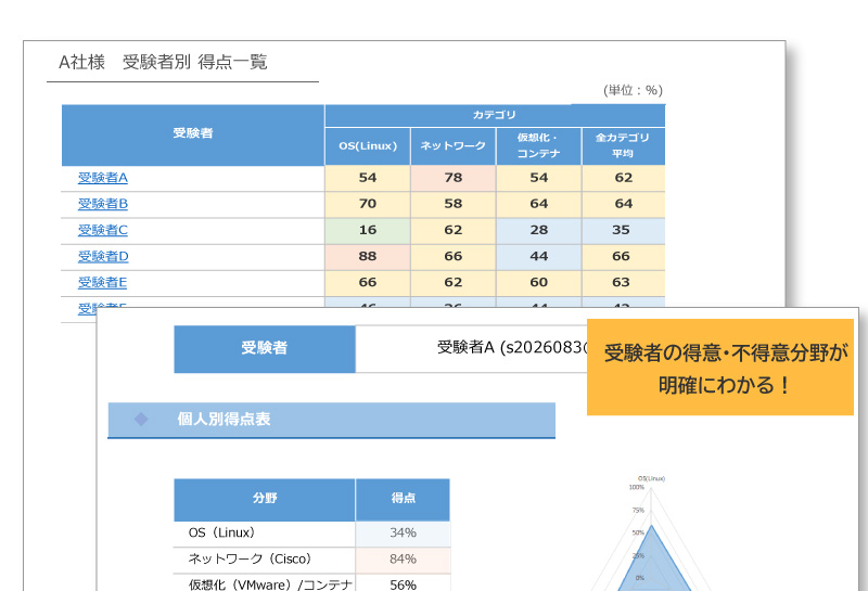 ITスキル診断サービス　個人レポート