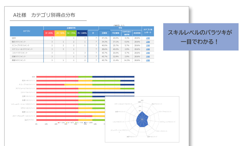 ITスキル診断サービス　サマリーレポート