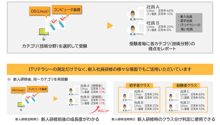 ITスキル診断サービス パターン3